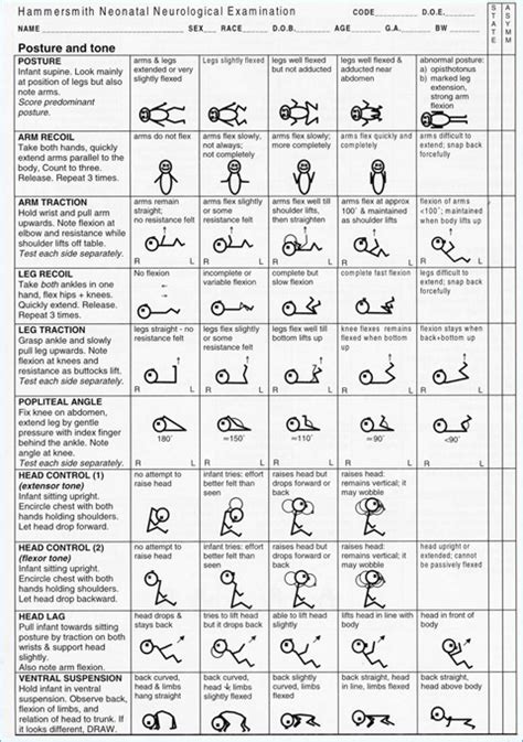 Neurological Assessment Of Newborn