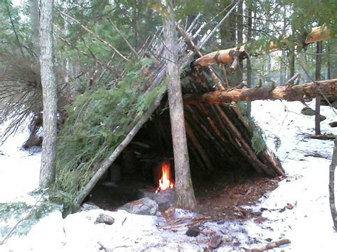 shelter in 2024 | Bushcraft, Elegant living, House styles