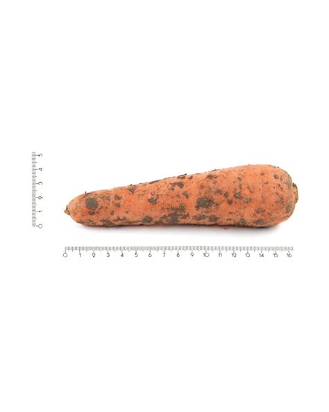 Купить морковь в Fruitonline