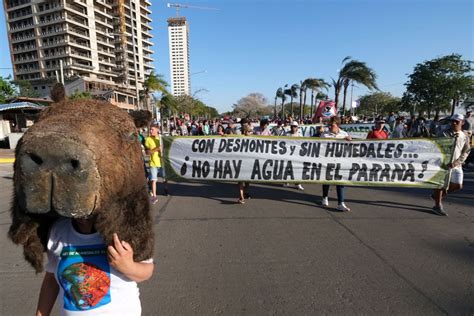 Los Detalles Del Nuevo Proyecto De Ley De Humedales Que Llegó Al