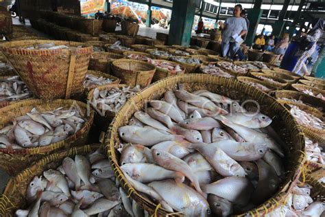 RENCANA KEBIJAKAN PENANGKAPAN IKAN SECARA TERUKUR ANTARA Foto