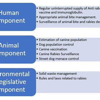 Interventions targeted at dog mediated rabies elimination | Download Scientific Diagram