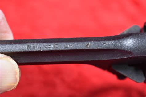 rare animal parts albion 8