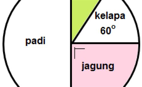 Cara Membaca Diagram Lingkaran 1 Otosection