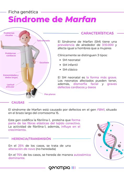 Fichas Genéticas Síndrome De Marfan Genotipia