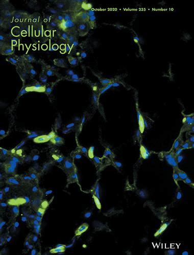 Cover Image Volume 235 Number 10 October 2020 Journal Of Cellular