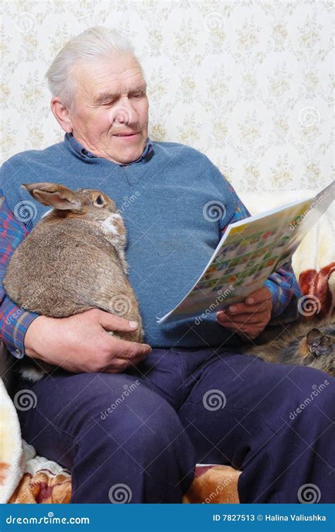 Man With Rabbit Stock Image Image Of Happiness Happy 7827513