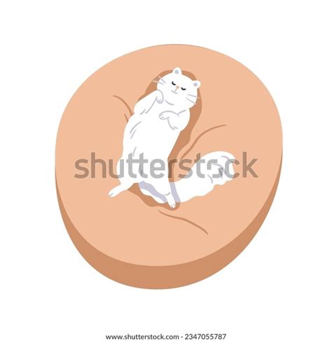 Pussy Bed Images Stock Photos D Objects Vectors Shutterstock