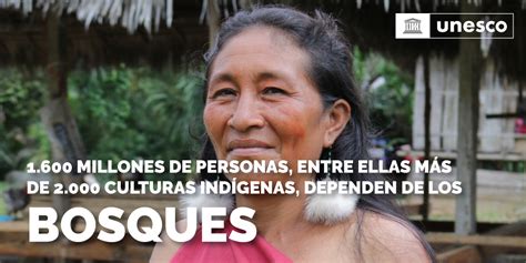 Unesco Perú On Twitter En El Díainternacionaldelosbosques 🌳 No