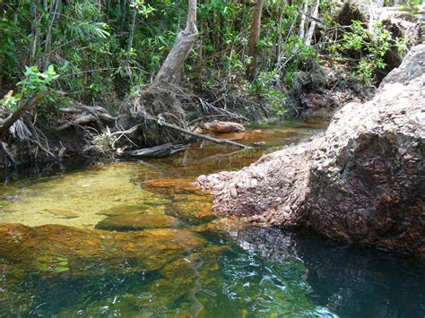 Visit to Buley Rockhole in Litchfield National Park in Northern ...