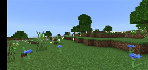 What biome is this? It looks kind of like a Meadow but the grass isn't ...