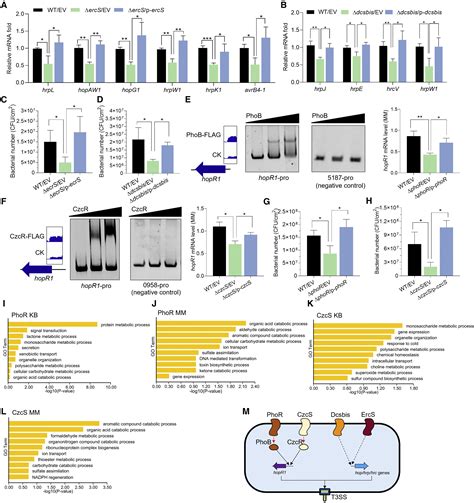 An Atlas Of Bacterial Two Component Systems Reveals Function And