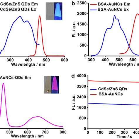 A The Emission Spectrum Of CdSe ZnS QDs And The Excitation Spectrum Of