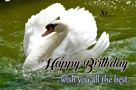 Happy Birthday Beautiful Bird