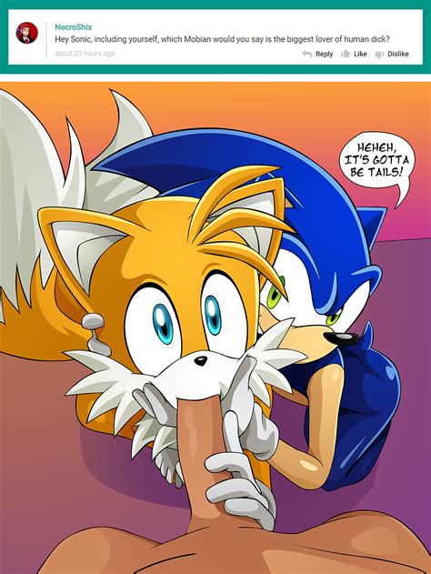 Sonic The Hedgehog Character Ask 2 Near Hentai