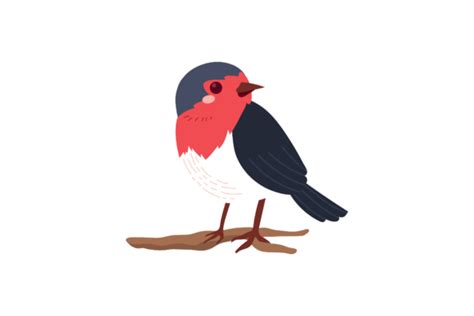 Cute Bird Vector Png