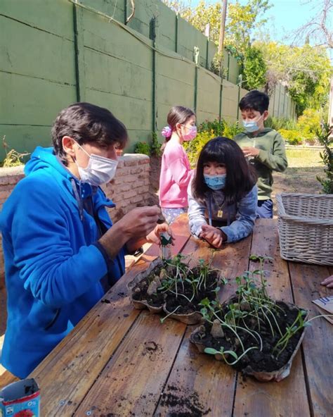 Proyecto Curso Del B Vinculado A Los Rboles Colegio Altamira