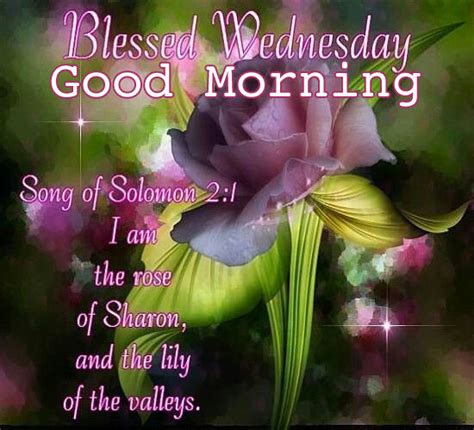 Blessed Wednesday Good Morning Pictures Photos And Images For