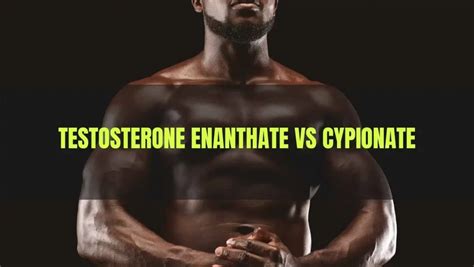 Testosterone Enanthate What Every Steroid User Must Know About This