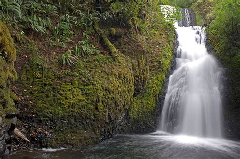 100 Bridal Veil Falls Oregon Photos Stock Photos Pictures And Royalty