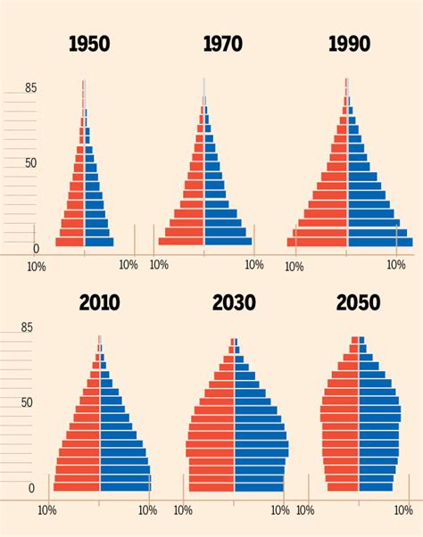 Population Pyramid Of India / As china struggles with a declining ...