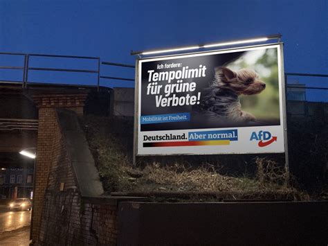 Mehr Normalität AfD präsentiert Kampagne für Bundestagswahl