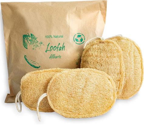 Buy Allkartz 100 Natural Loofah Exfoliating Sponge Loofah Body