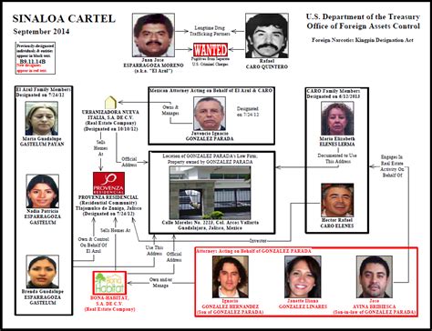 Medellin Cartel Structure