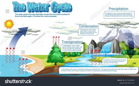 Water Cycle Diagram Science Education Illustration Stock Vector (Royalty Free) 2271993895 ...