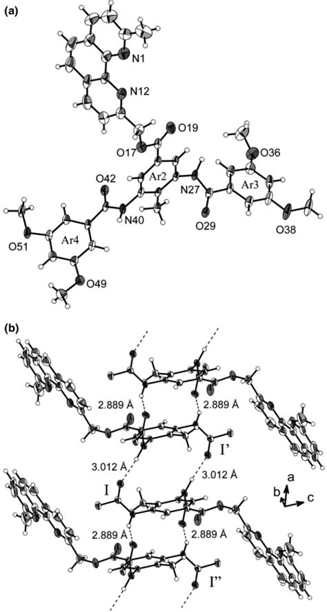 A Molecular Structure Of L 1 Showing The Atom Labeling Scheme The Download Scientific