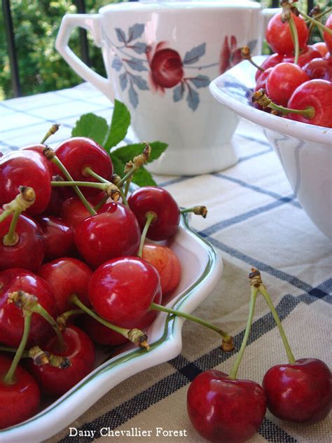 Le Temps Des Cerises Danybrod