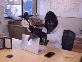 Monkey Eating GIFs - Find & Share on GIPHY