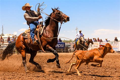 Rodeo! | Westwater Arts