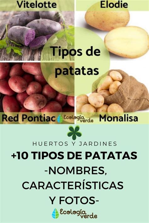 Tipos De Patatas Nombres Caracter Sticas Y Fotos Tipos De