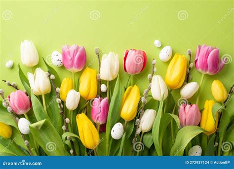 Top View Photo Of A Lot Of Colorful Tulips Pussy Willow Branches And Quail Eggs On Light Green