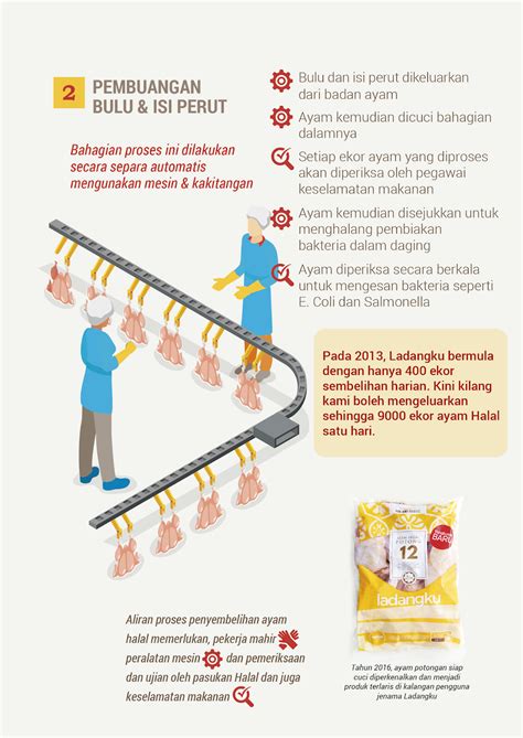 Infografik Bagaimana Ayam Halal Ladangku Diproses