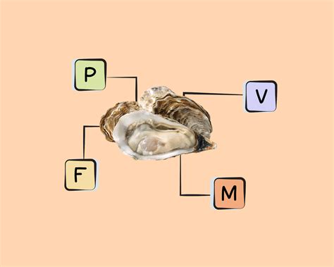 Pacific Oyster Nutrients