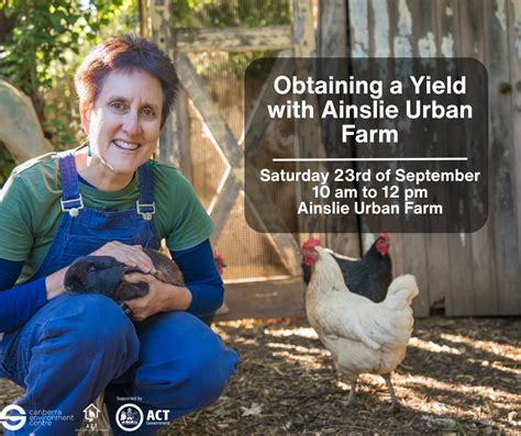 Obtaining A Yield With Ainslie Urban Farm — Canberra Environment Centre