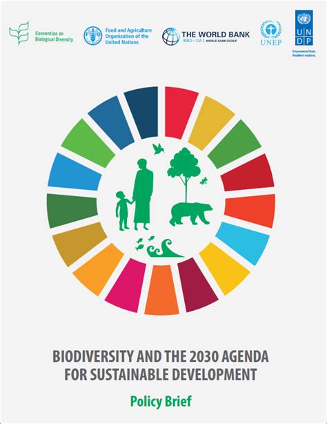 Biodiversity and the 2030 Agenda for Sustainable Development | United ...