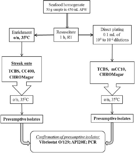 Flowchart Demonstrating The Steps Used In The Method Including