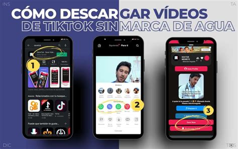 Details 49 cómo descargar videos de tiktok sin el logo Abzlocal mx