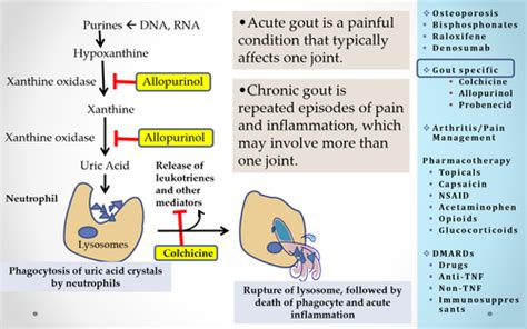 Mata 1 Tx Osteoporosis Gout Arthritis Flashcards Quizlet