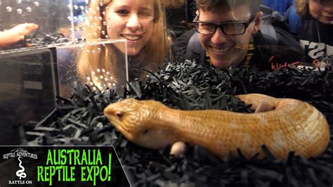 Reptile Expo Tour In Brisbane Australia Repx Australia Reptile Expo