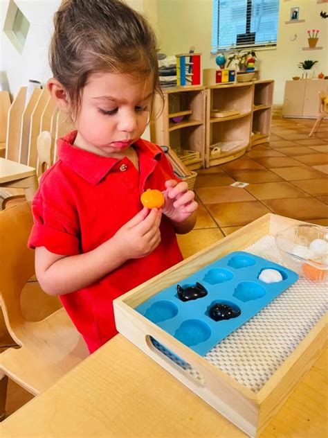 Montessori Inspired Pumpkin Carving La Prima Casa