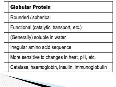 Globular Proteins Ppt