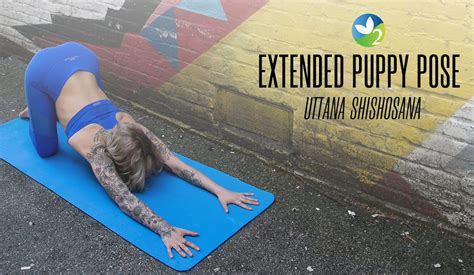 Pose Of The Week Guide Extended Puppy Pose Oxygen Yoga Fitness