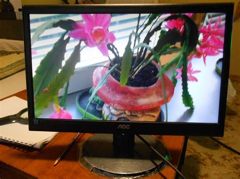 gaming lcd monitor LOC 185LM00013 19 инча LCD/TFT монитор 16:9 ...