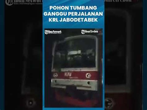 Ada Pohon Tumbang Perjalanan KRL Lintas Tanah Abang Rangkasbitung