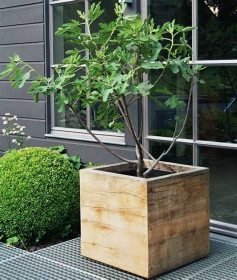 25 Adorable DIY Wooden Planter Ideas