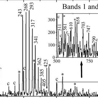 γ ray coincidence spectra showing transitions in the ground state band